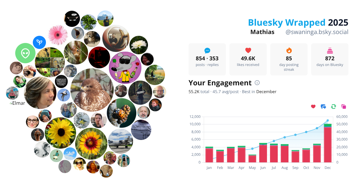 Your Bluesky Wrapped 2025 preview
