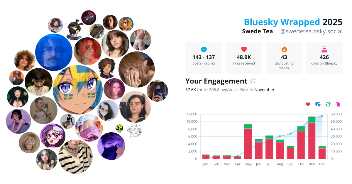 Your Bluesky Wrapped 2025 preview