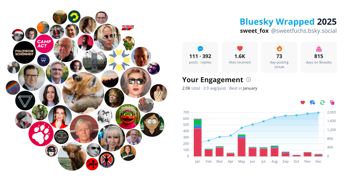 Your Bluesky Wrapped 2025 preview