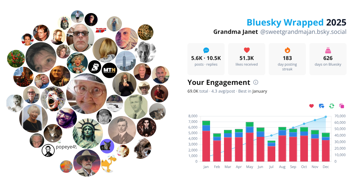 Your Bluesky Wrapped 2025 preview