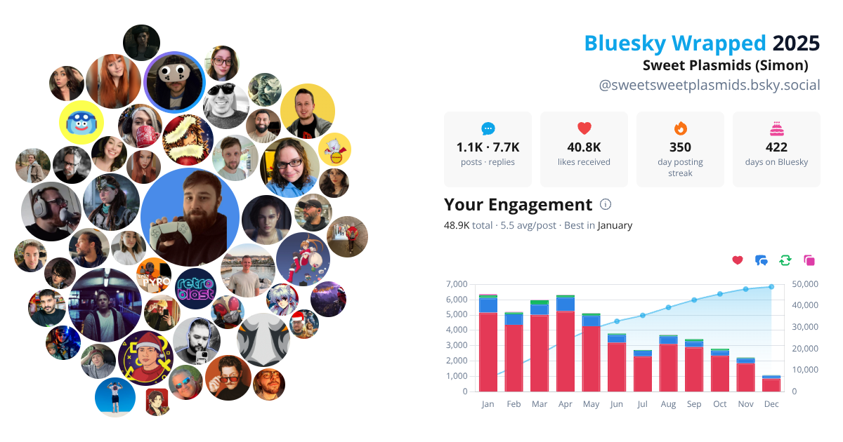 Your Bluesky Wrapped 2025 preview