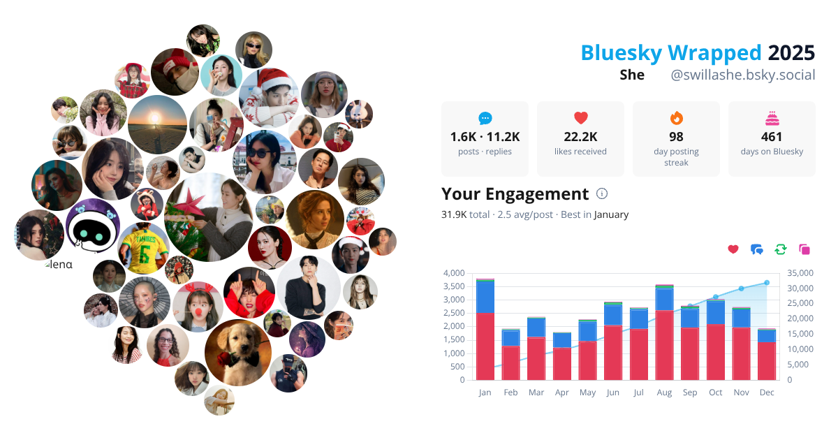 Your Bluesky Wrapped 2025 preview