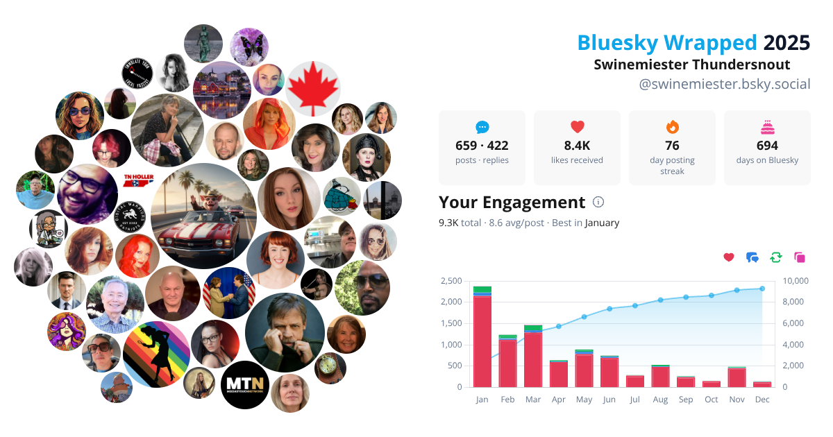 Your Bluesky Wrapped 2025 preview