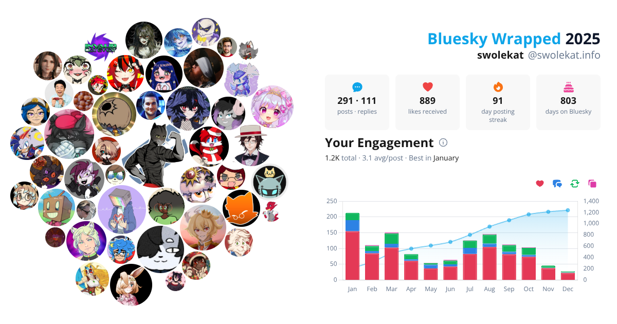 Your Bluesky Wrapped 2025 preview