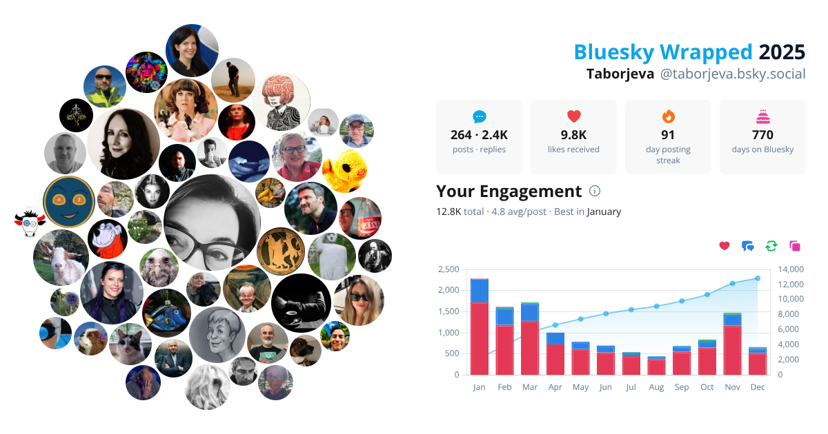 Your Bluesky Wrapped 2025 preview