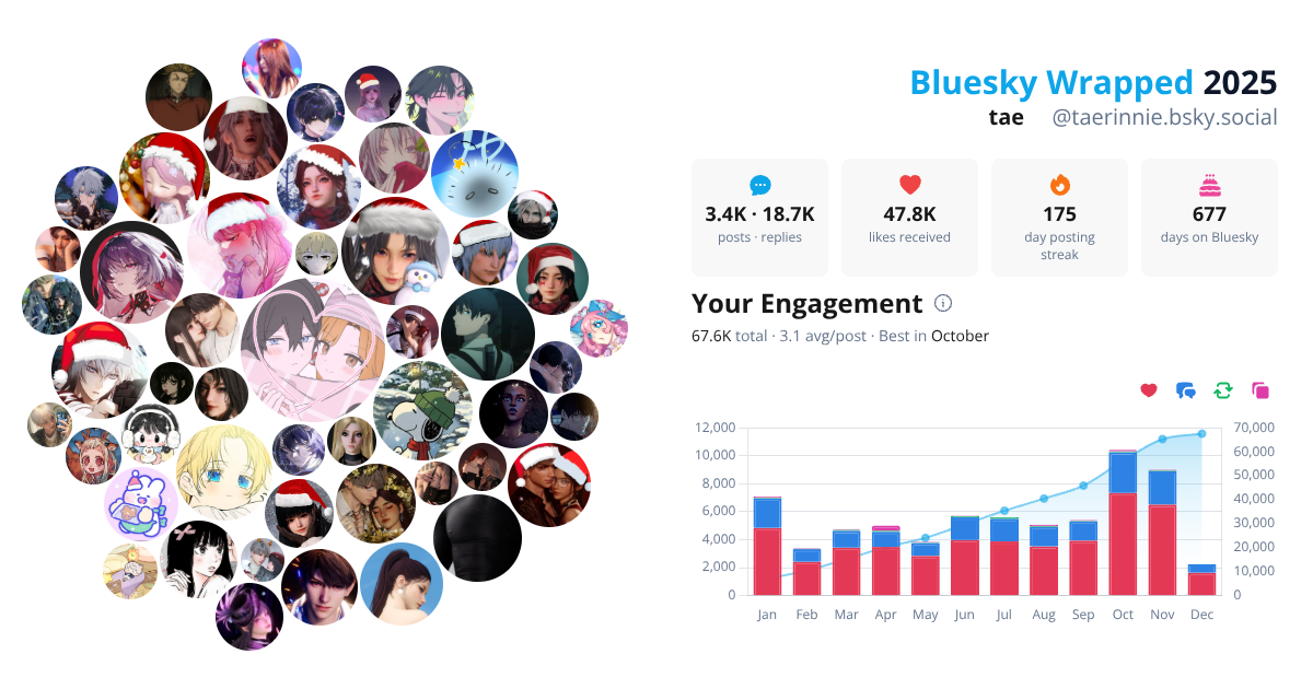 Your Bluesky Wrapped 2025 preview