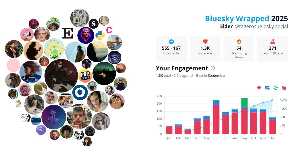 Your Bluesky Wrapped 2025 preview