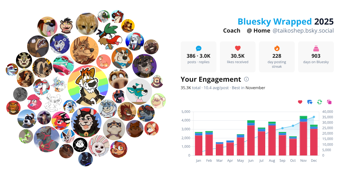 Your Bluesky Wrapped 2025 preview