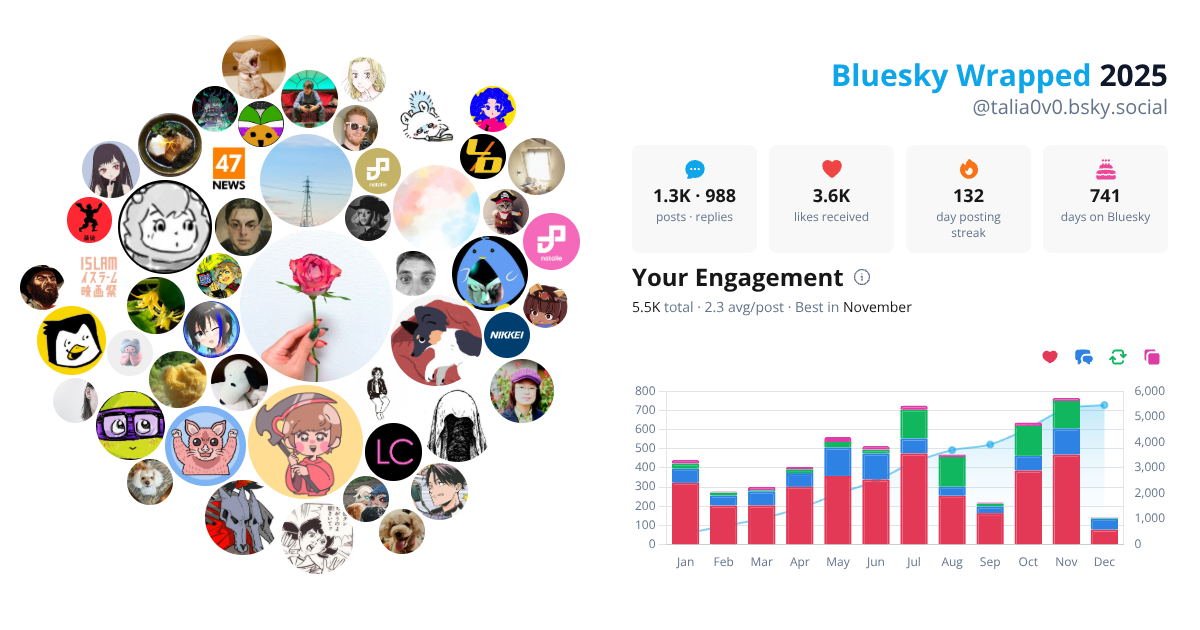 Your Bluesky Wrapped 2025 preview