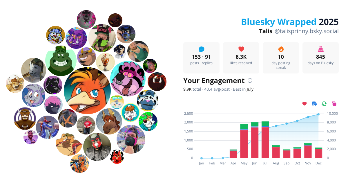 Your Bluesky Wrapped 2025 preview