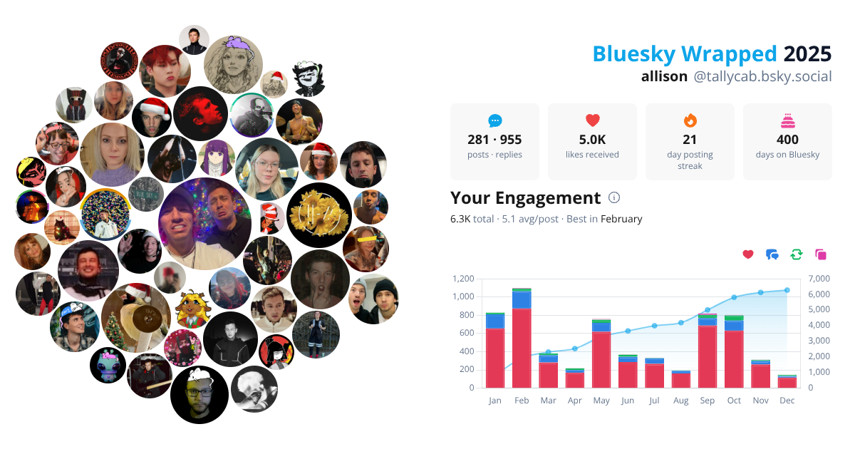 Your Bluesky Wrapped 2025 preview