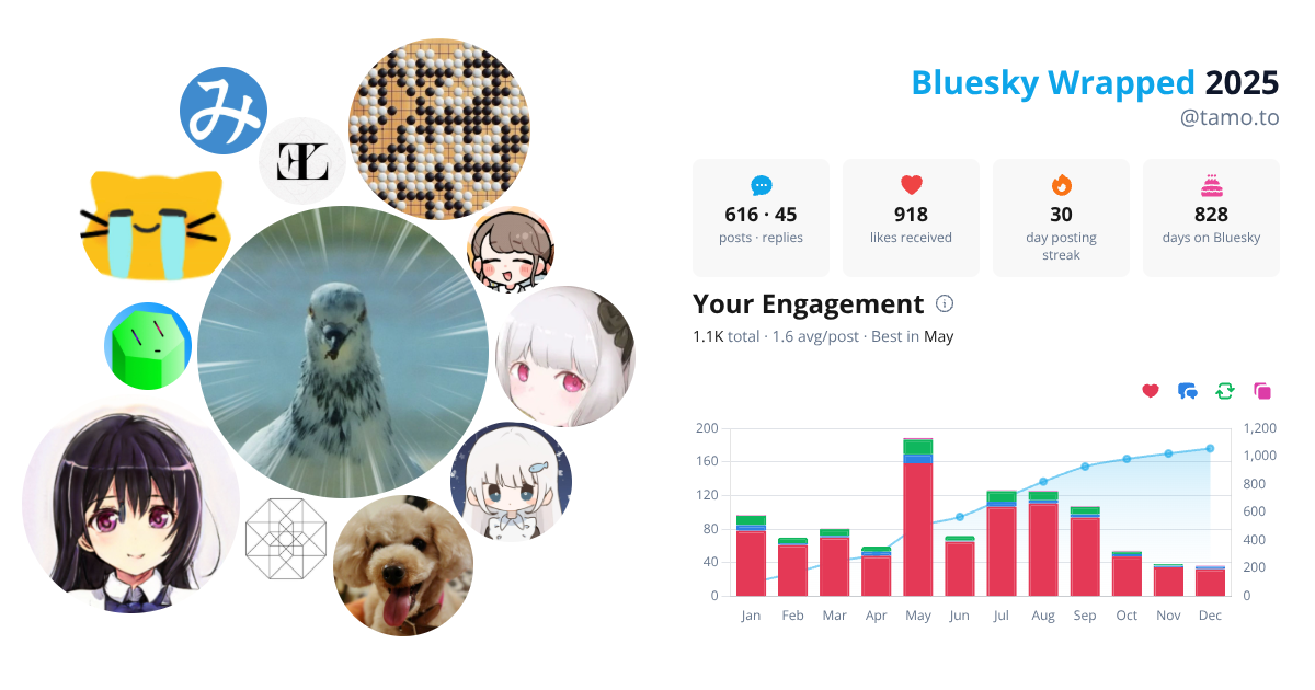 Your Bluesky Wrapped 2025 preview