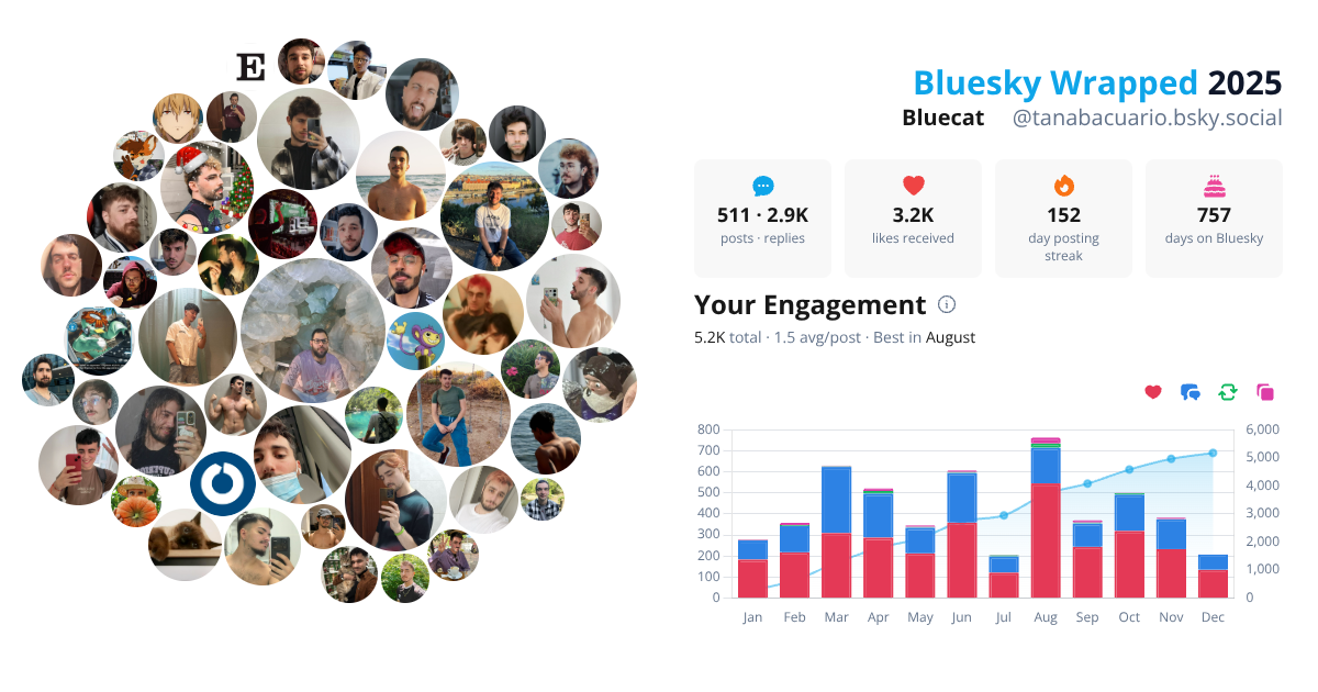Your Bluesky Wrapped 2025 preview