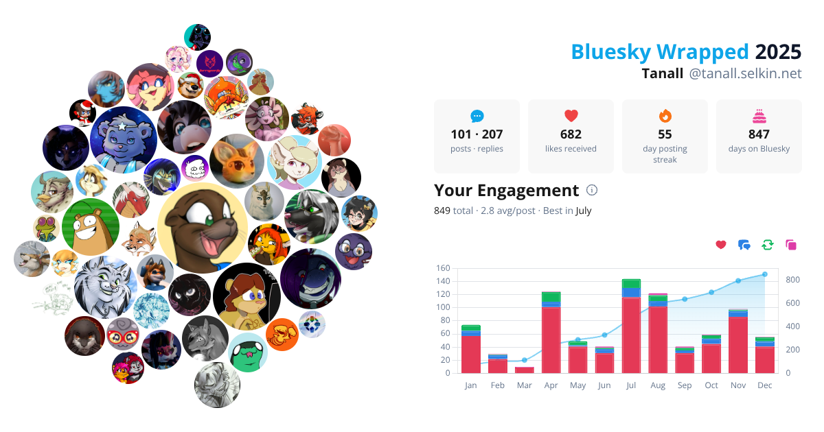 Your Bluesky Wrapped 2025 preview