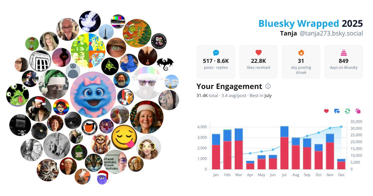 Your Bluesky Wrapped 2025 preview