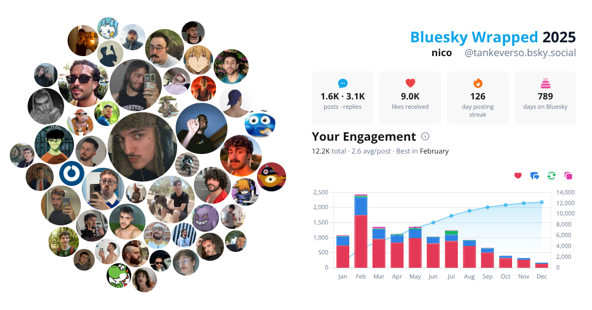 Your Bluesky Wrapped 2025 preview