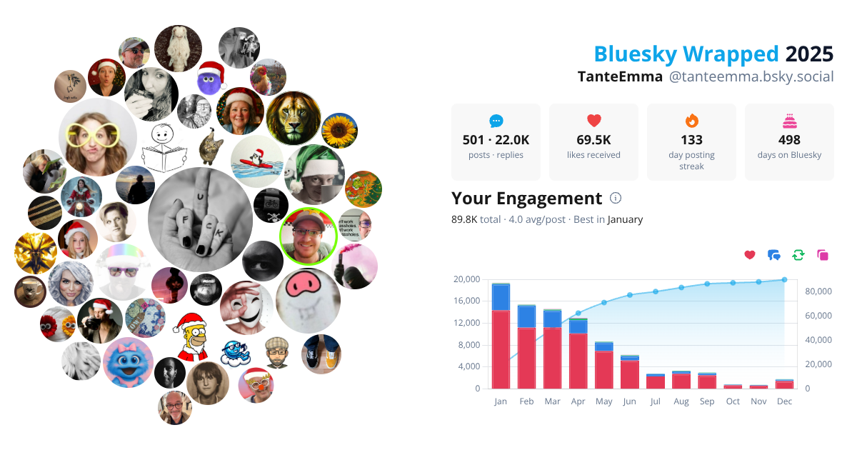 Your Bluesky Wrapped 2025 preview