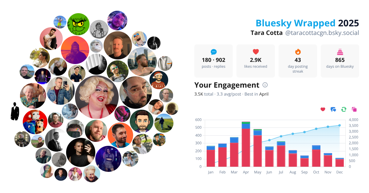 Your Bluesky Wrapped 2025 preview