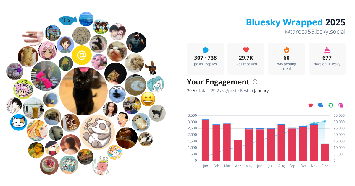 Your Bluesky Wrapped 2025 preview