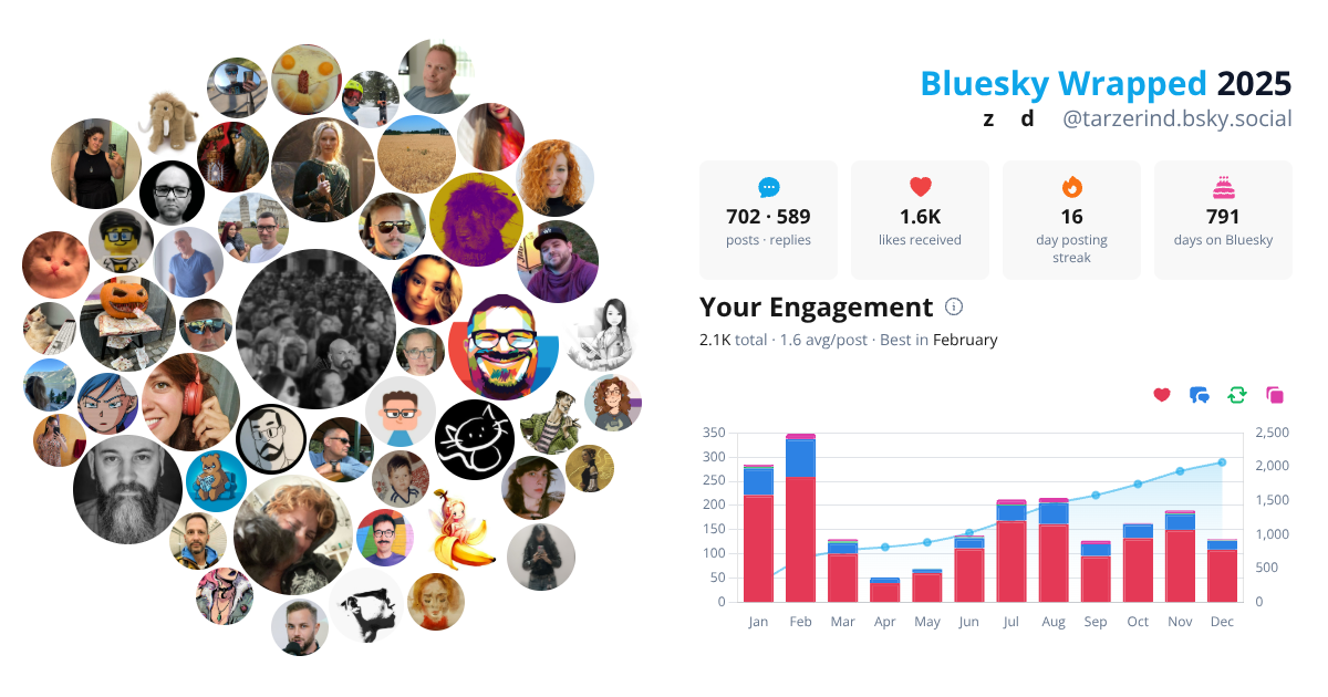 Your Bluesky Wrapped 2025 preview