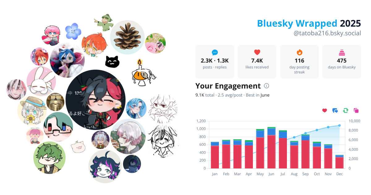 Your Bluesky Wrapped 2025 preview