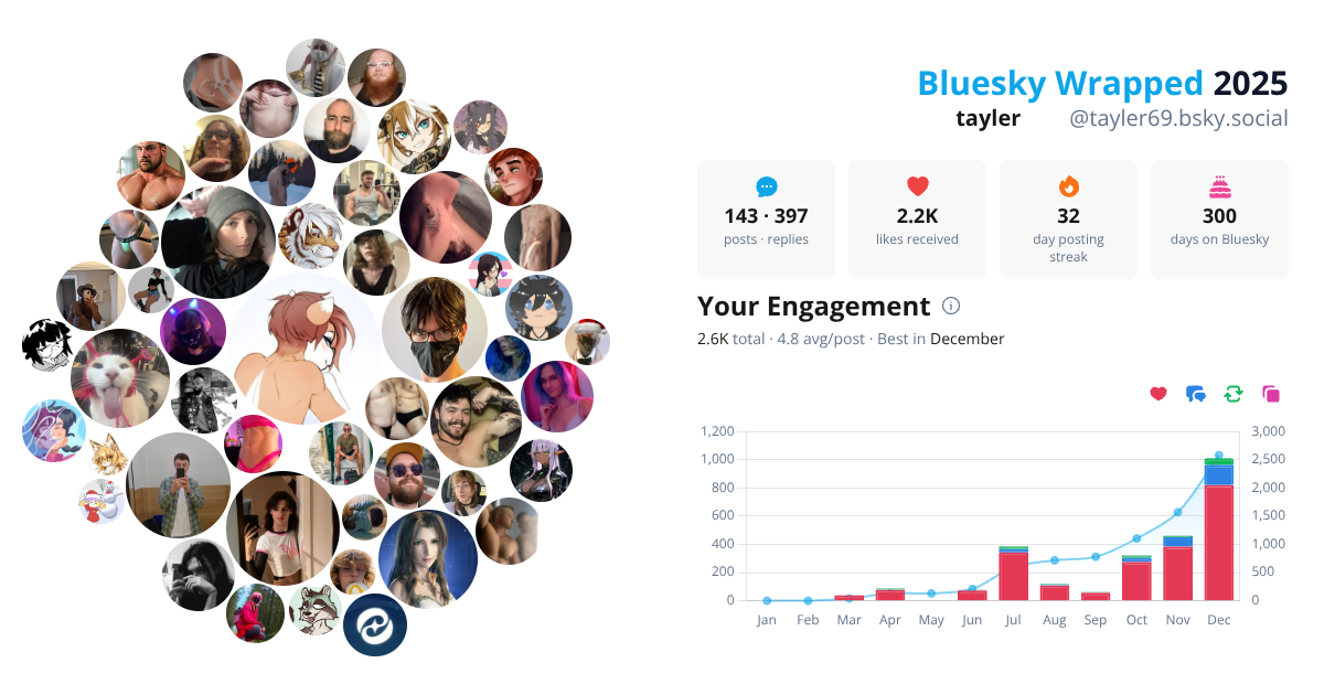 Your Bluesky Wrapped 2025 preview