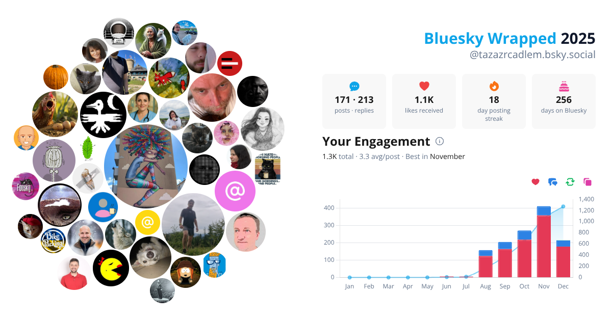 Your Bluesky Wrapped 2025 preview