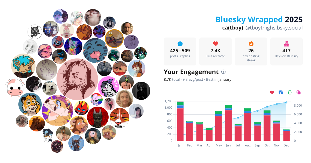 Your Bluesky Wrapped 2025 preview