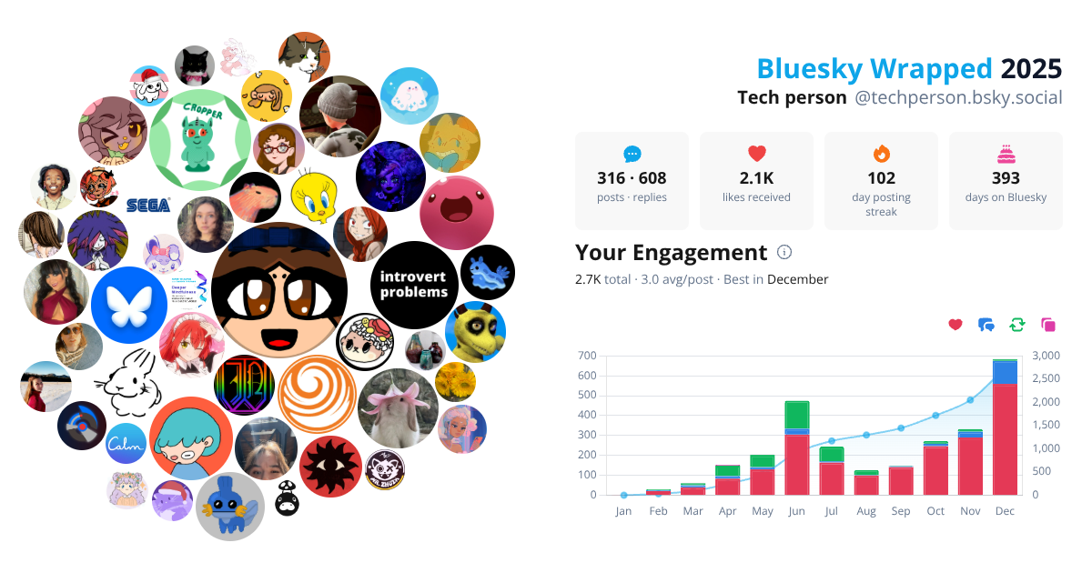 Your Bluesky Wrapped 2025 preview
