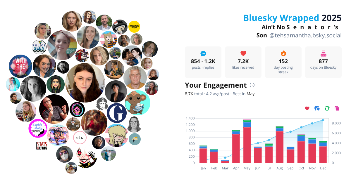 Your Bluesky Wrapped 2025 preview