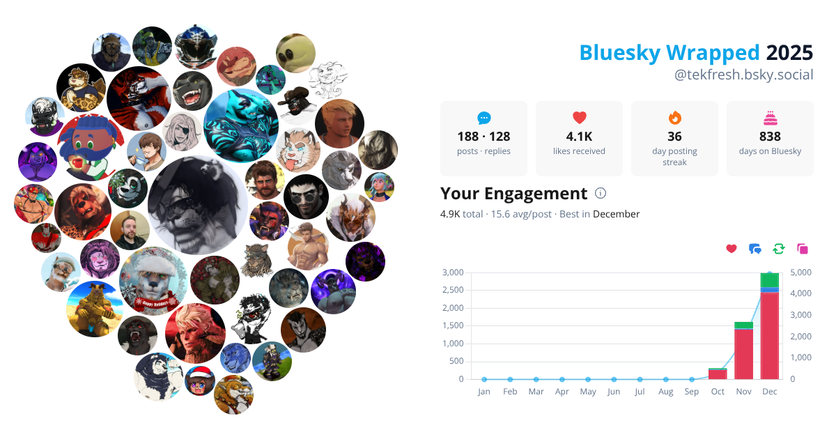 Your Bluesky Wrapped 2025 preview