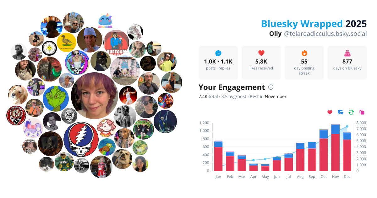 Your Bluesky Wrapped 2025 preview