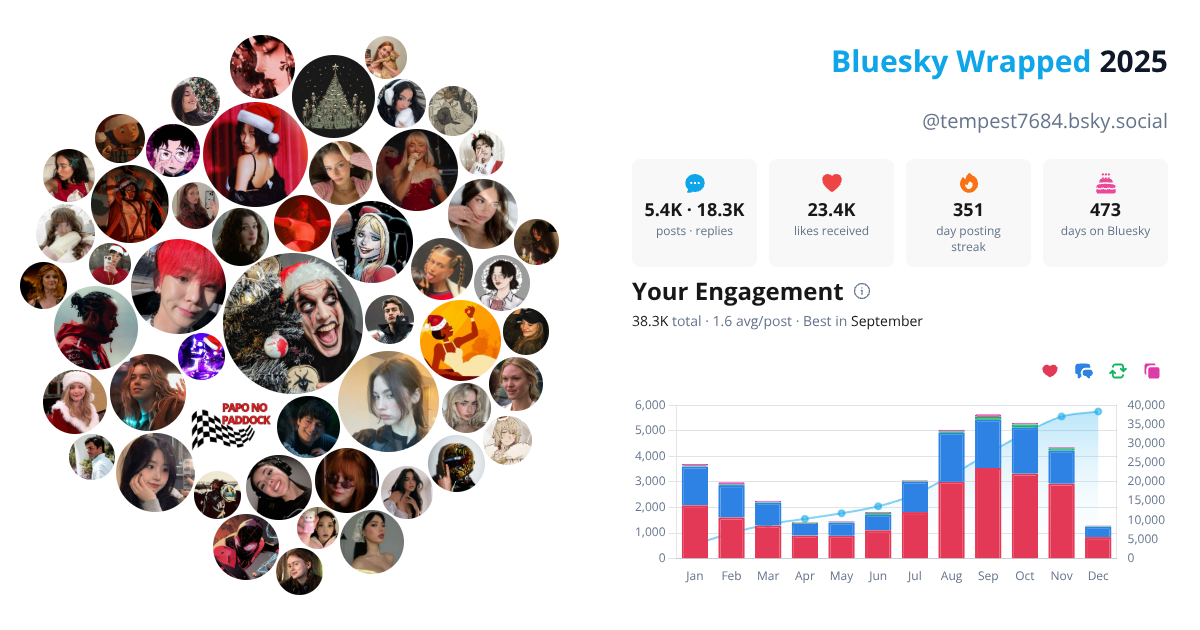 Your Bluesky Wrapped 2025 preview