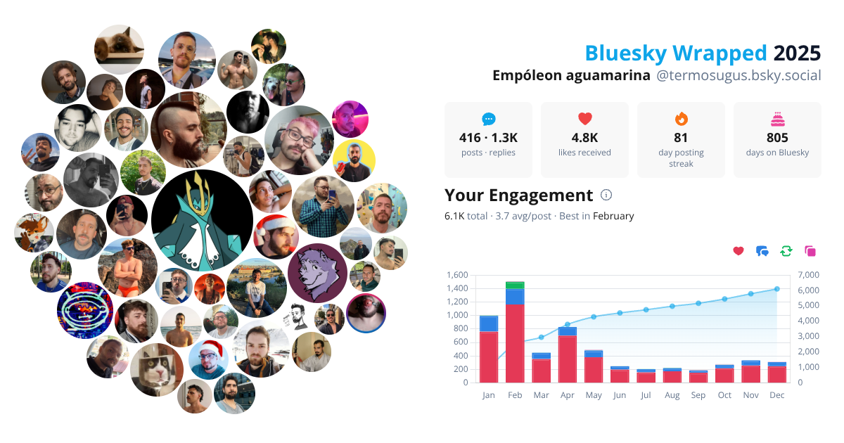 Your Bluesky Wrapped 2025 preview