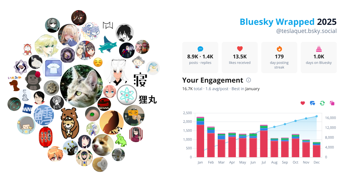Your Bluesky Wrapped 2025 preview