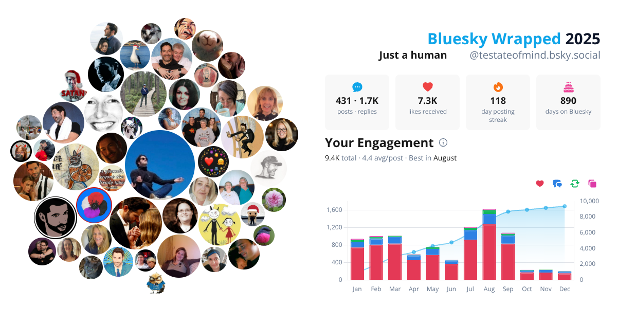 Your Bluesky Wrapped 2025 preview