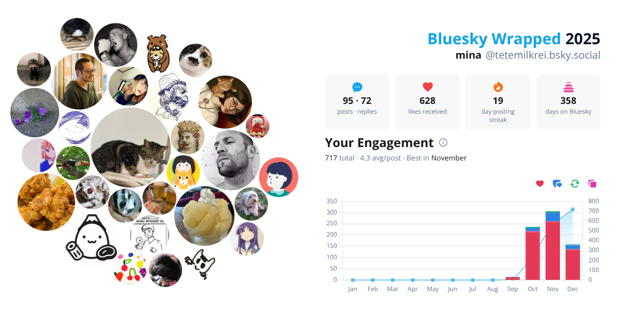 Your Bluesky Wrapped 2025 preview