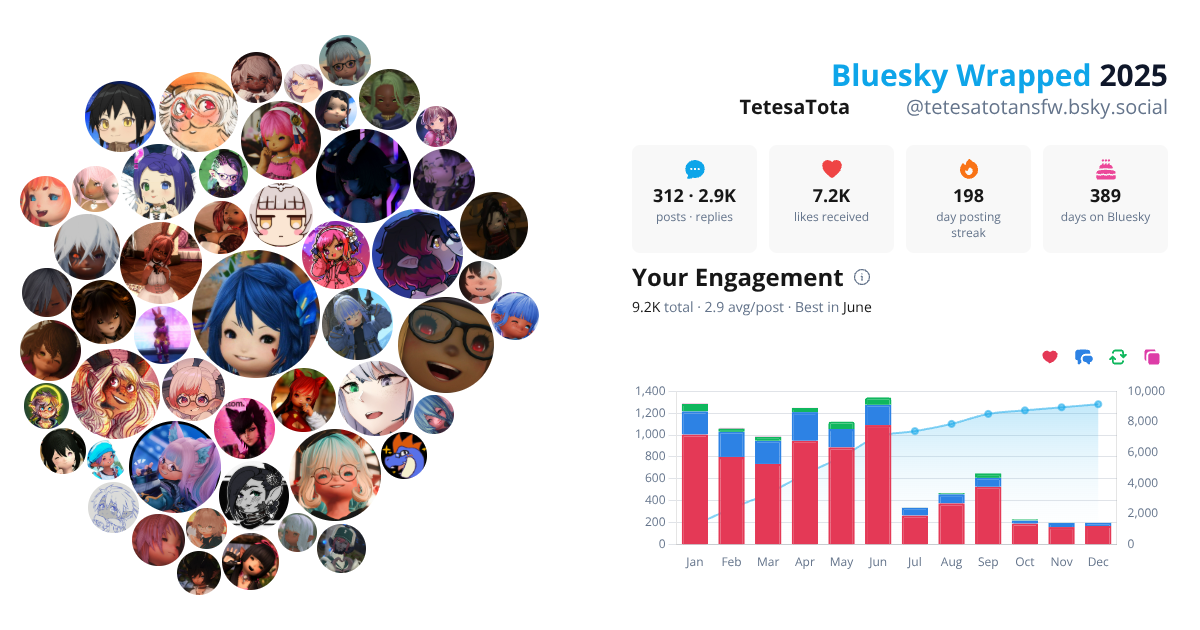 Your Bluesky Wrapped 2025 preview