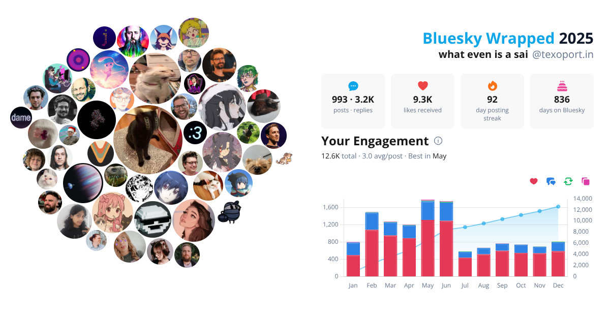Your Bluesky Wrapped 2025 preview