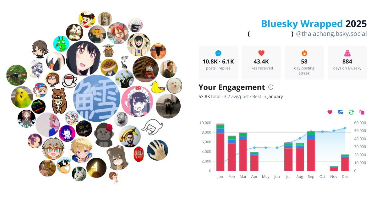 Your Bluesky Wrapped 2025 preview