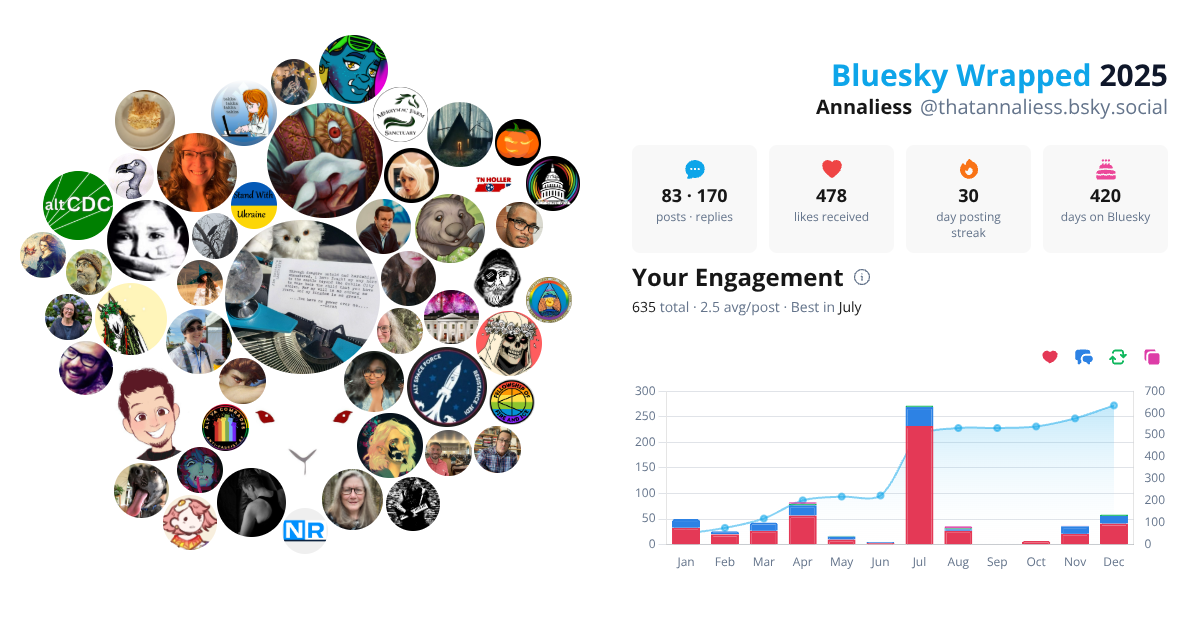 Your Bluesky Wrapped 2025 preview