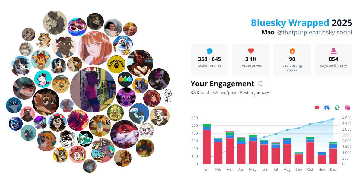 Your Bluesky Wrapped 2025 preview