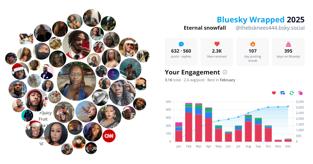 Your Bluesky Wrapped 2025 preview