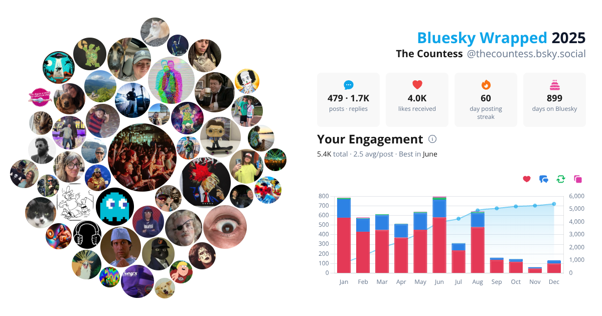 Your Bluesky Wrapped 2025 preview
