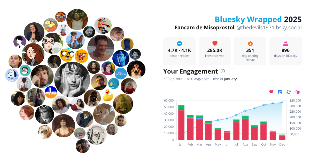 Your Bluesky Wrapped 2025 preview