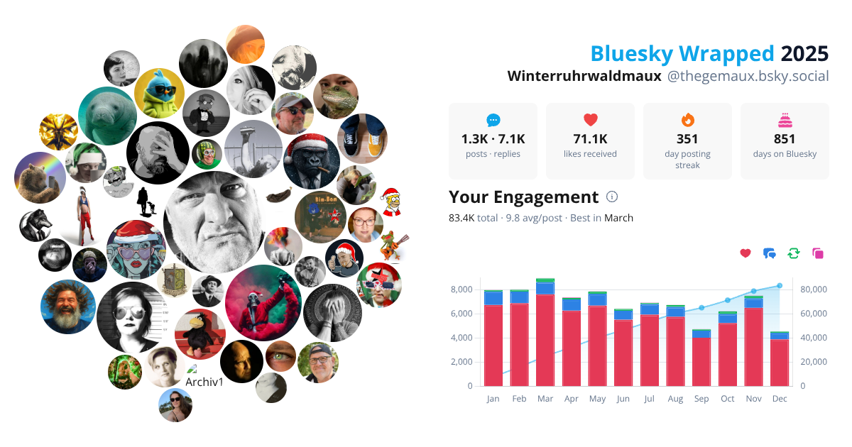Your Bluesky Wrapped 2025 preview