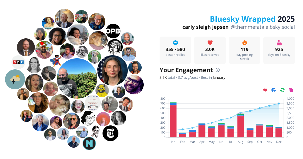 Your Bluesky Wrapped 2025 preview