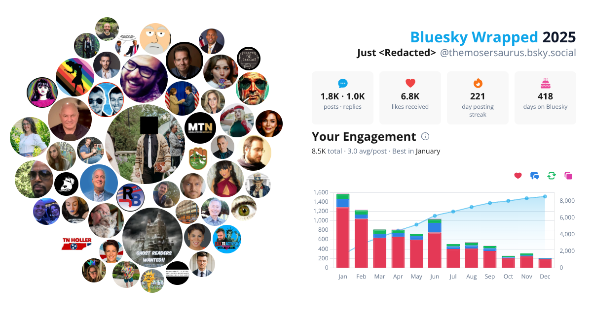 Your Bluesky Wrapped 2025 preview