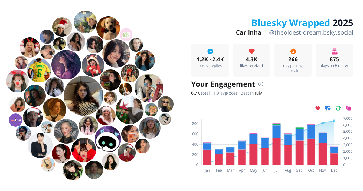 Your Bluesky Wrapped 2025 preview
