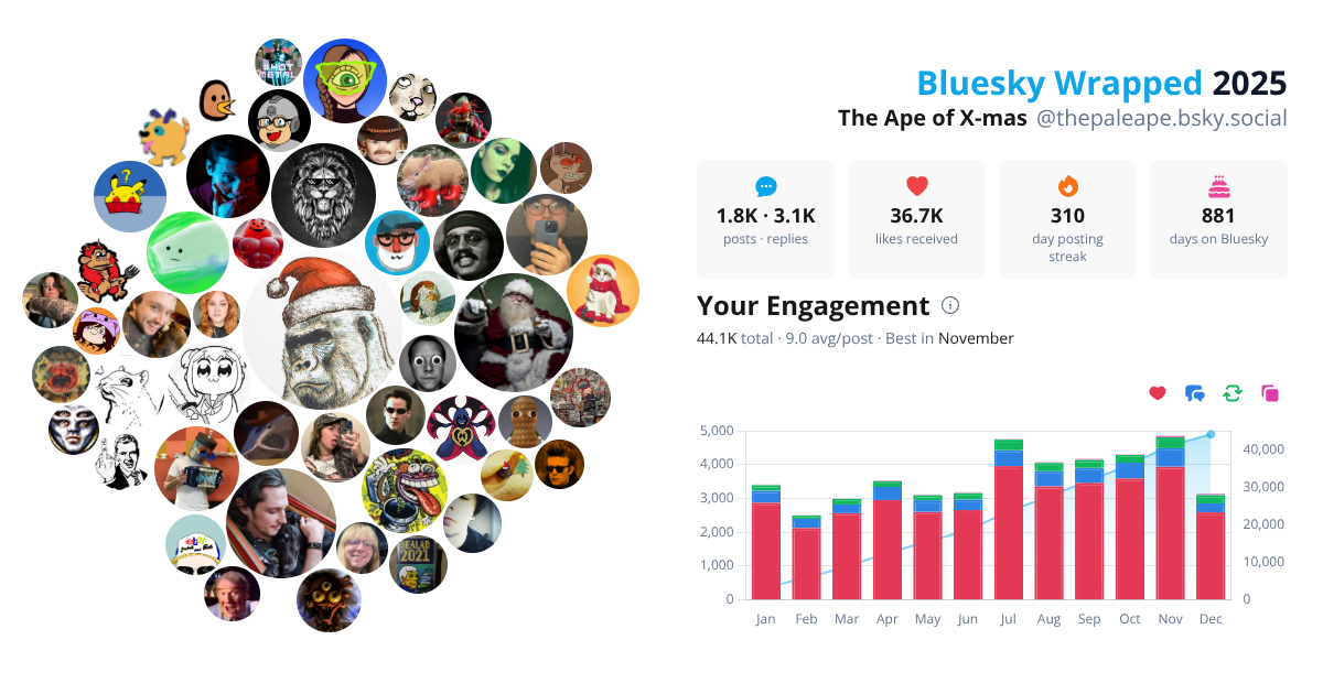 Your Bluesky Wrapped 2025 preview
